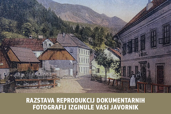 Domoznanska razstava